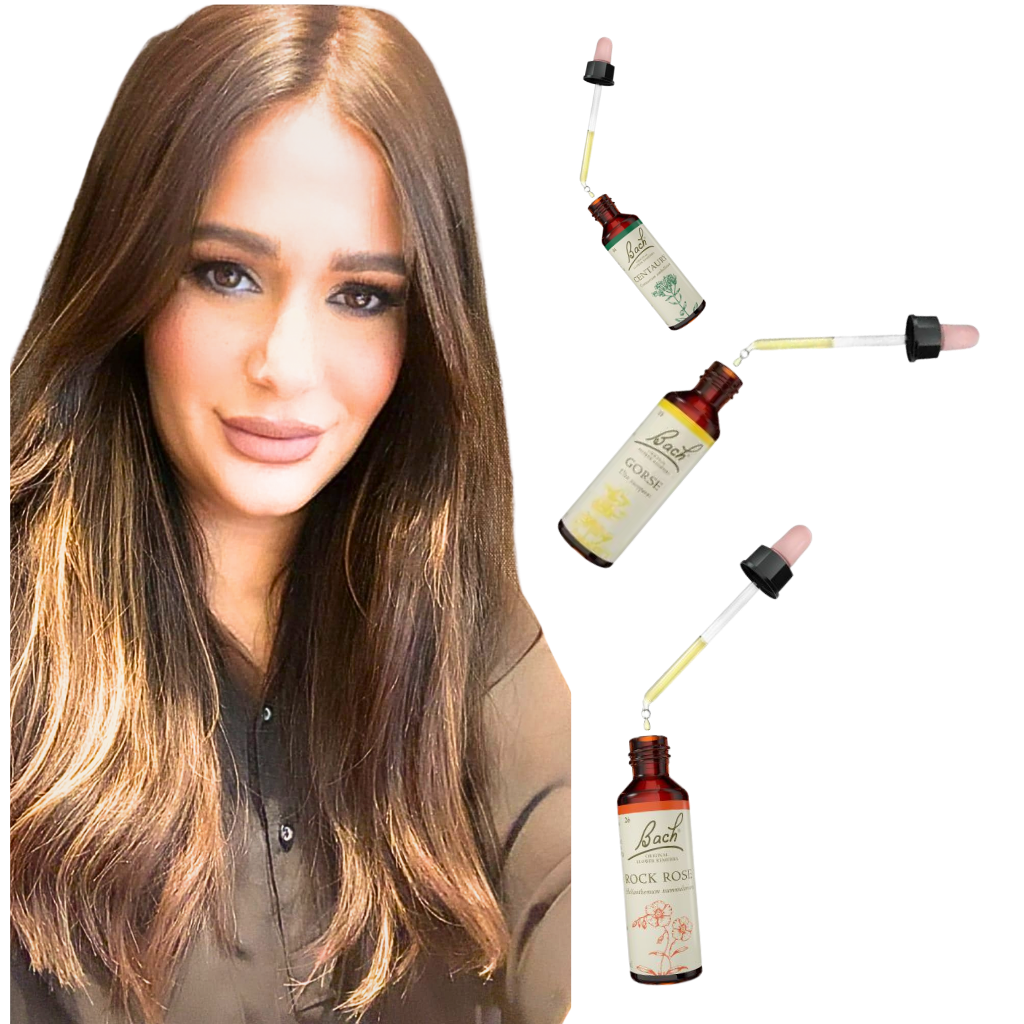 ערכת הקלפים